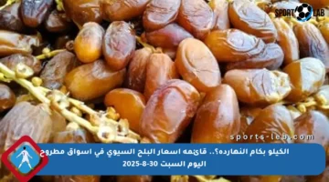 الكيلو بكام النهاردة؟.. قائمة أسعار البلح السيوي في أسواق مطروح اليوم السبت 30-8-2025